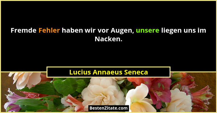 Fremde Fehler haben wir vor Augen, unsere liegen uns im Nacken.... - Lucius Annaeus Seneca
