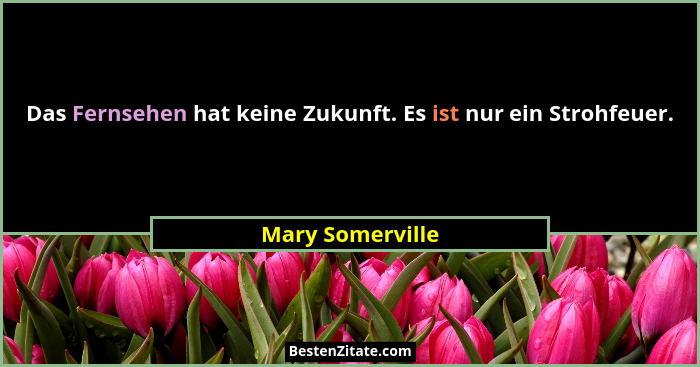Das Fernsehen hat keine Zukunft. Es ist nur ein Strohfeuer.... - Mary Somerville