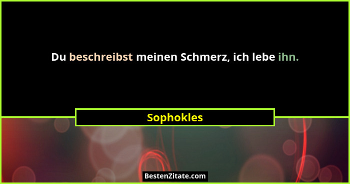 Du beschreibst meinen Schmerz, ich lebe ihn.... - Sophokles