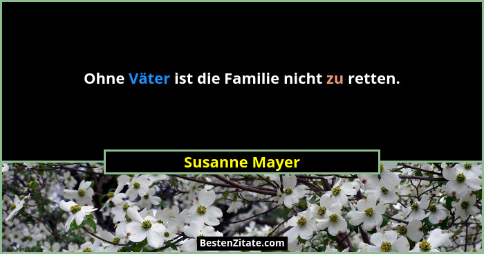 Ohne Väter ist die Familie nicht zu retten.... - Susanne Mayer