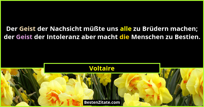 Der Geist der Nachsicht müßte uns alle zu Brüdern machen; der Geist der Intoleranz aber macht die Menschen zu Bestien.... - Voltaire