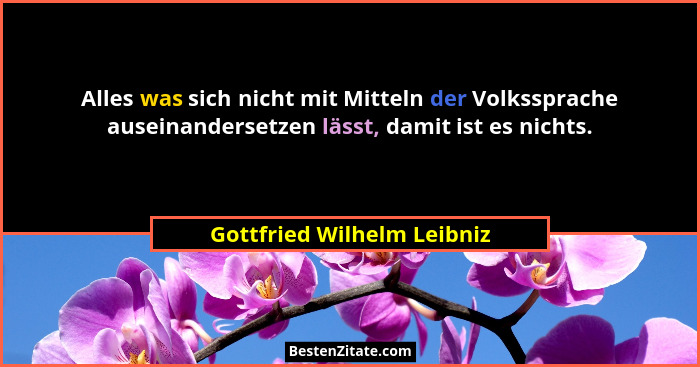 Alles was sich nicht mit Mitteln der Volkssprache auseinandersetzen lässt, damit ist es nichts.... - Gottfried Wilhelm Leibniz