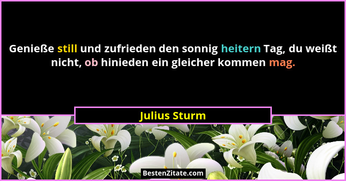 Genieße still und zufrieden den sonnig heitern Tag, du weißt nicht, ob hinieden ein gleicher kommen mag.... - Julius Sturm