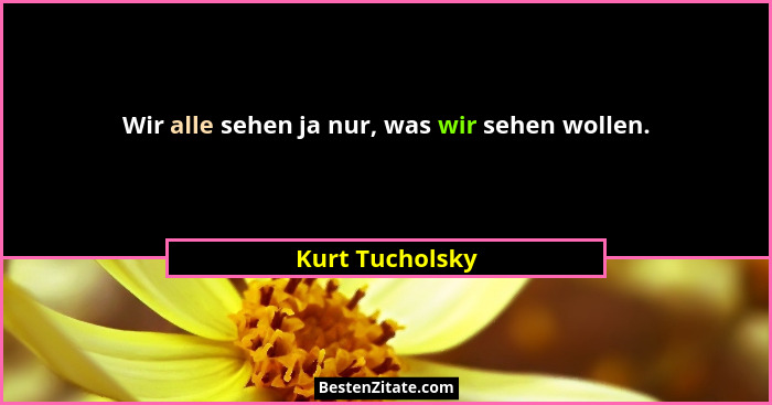 Wir alle sehen ja nur, was wir sehen wollen.... - Kurt Tucholsky