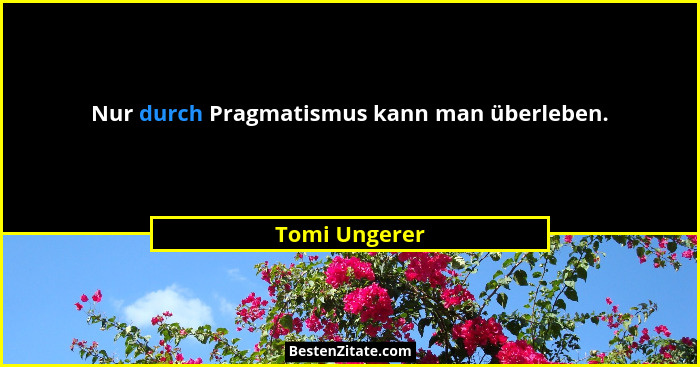 Nur durch Pragmatismus kann man überleben.... - Tomi Ungerer