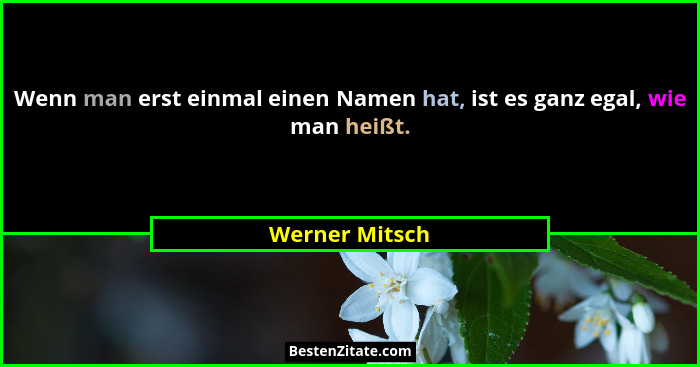 Wenn man erst einmal einen Namen hat, ist es ganz egal, wie man heißt.... - Werner Mitsch