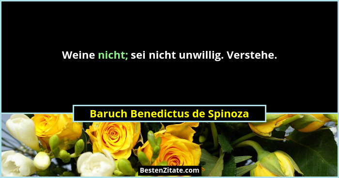 Weine nicht; sei nicht unwillig. Verstehe.... - Baruch Benedictus de Spinoza