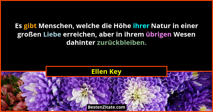 Es gibt Menschen, welche die Höhe ihrer Natur in einer großen Liebe erreichen, aber in ihrem übrigen Wesen dahinter zurückbleiben.... - Ellen Key