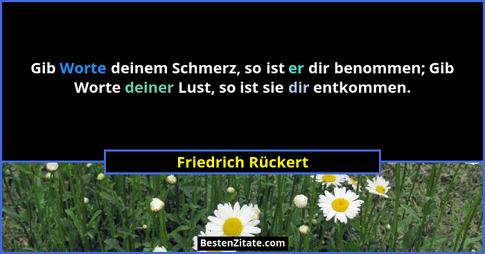 Gib Worte deinem Schmerz, so ist er dir benommen; Gib Worte deiner Lust, so ist sie dir entkommen.... - Friedrich Rückert
