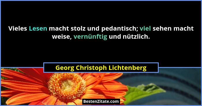 Vieles Lesen macht stolz und pedantisch; viel sehen macht weise, vernünftig und nützlich.... - Georg Christoph Lichtenberg