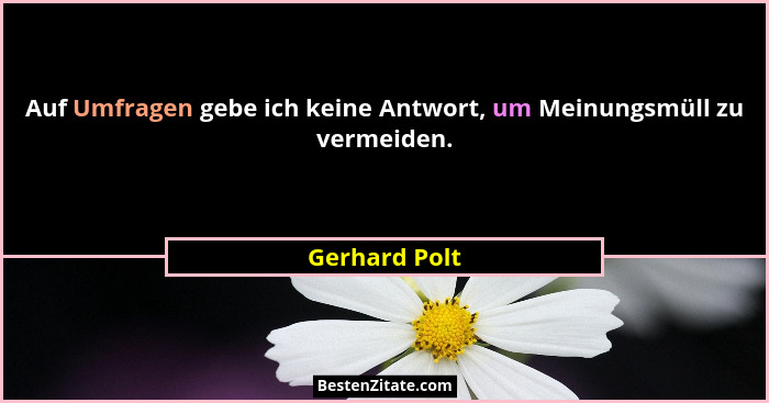 Auf Umfragen gebe ich keine Antwort, um Meinungsmüll zu vermeiden.... - Gerhard Polt