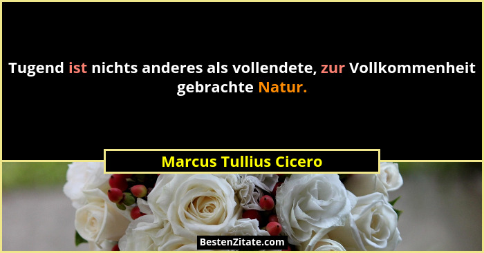 Tugend ist nichts anderes als vollendete, zur Vollkommenheit gebrachte Natur.... - Marcus Tullius Cicero