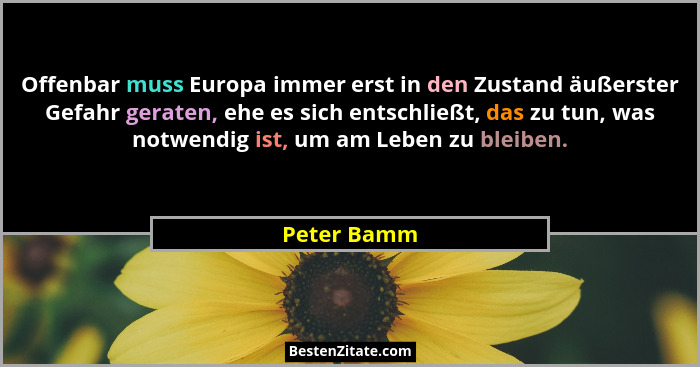 Offenbar muss Europa immer erst in den Zustand äußerster Gefahr geraten, ehe es sich entschließt, das zu tun, was notwendig ist, um am Le... - Peter Bamm