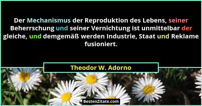 Der Mechanismus der Reproduktion des Lebens, seiner Beherrschung und seiner Vernichtung ist unmittelbar der gleiche, und demgemäß... - Theodor W. Adorno