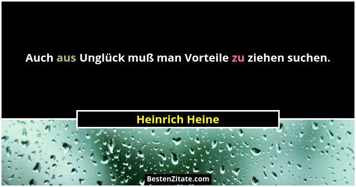 Auch aus Unglück muß man Vorteile zu ziehen suchen.... - Heinrich Heine