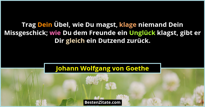 Trag Dein Übel, wie Du magst, klage niemand Dein Missgeschick; wie Du dem Freunde ein Unglück klagst, gibt er Dir gleich... - Johann Wolfgang von Goethe