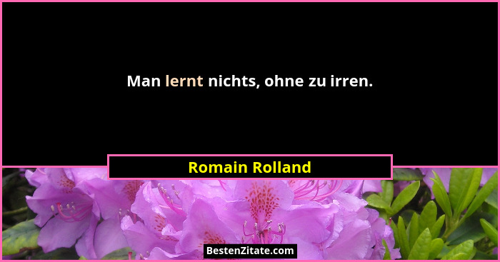 Man lernt nichts, ohne zu irren.... - Romain Rolland