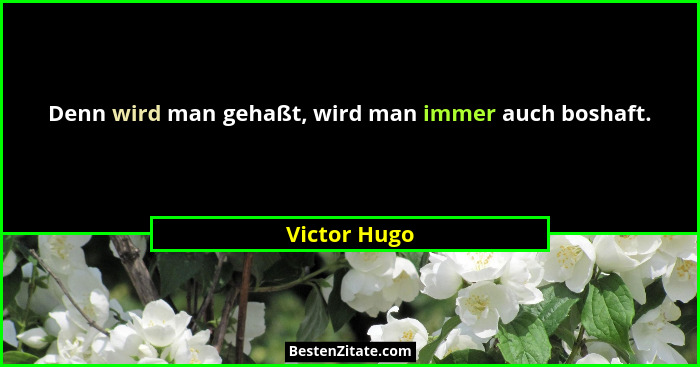 Denn wird man gehaßt, wird man immer auch boshaft.... - Victor Hugo