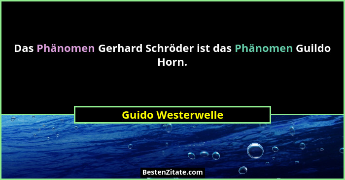 Das Phänomen Gerhard Schröder ist das Phänomen Guildo Horn.... - Guido Westerwelle