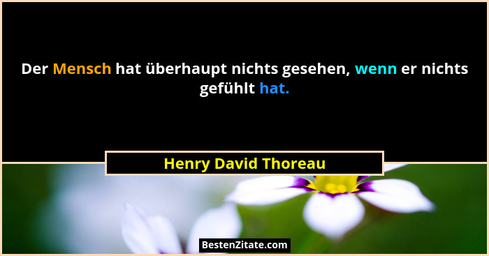 Der Mensch hat überhaupt nichts gesehen, wenn er nichts gefühlt hat.... - Henry David Thoreau