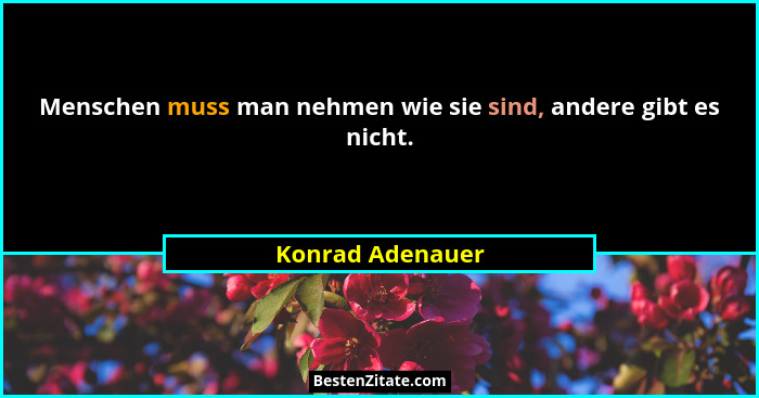 Menschen muss man nehmen wie sie sind, andere gibt es nicht.... - Konrad Adenauer