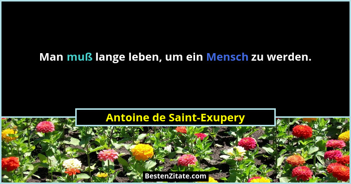 Man muß lange leben, um ein Mensch zu werden.... - Antoine de Saint-Exupery