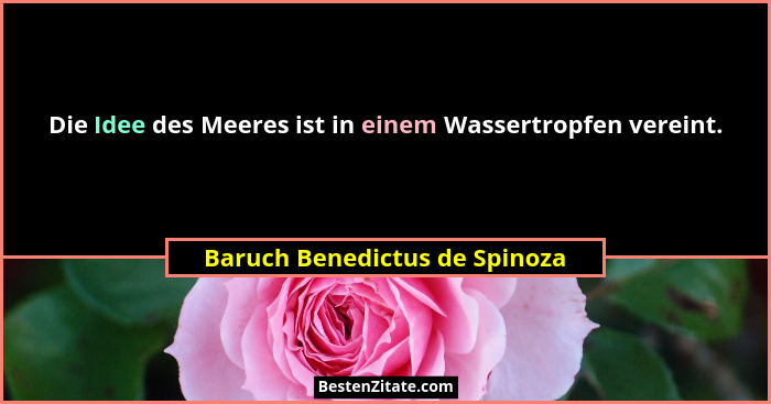 Die Idee des Meeres ist in einem Wassertropfen vereint.... - Baruch Benedictus de Spinoza