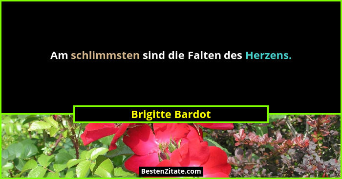 Am schlimmsten sind die Falten des Herzens.... - Brigitte Bardot