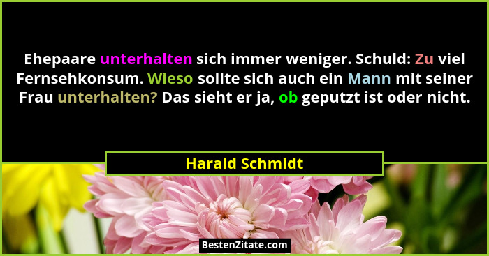 Ehepaare unterhalten sich immer weniger. Schuld: Zu viel Fernsehkonsum. Wieso sollte sich auch ein Mann mit seiner Frau unterhalten?... - Harald Schmidt