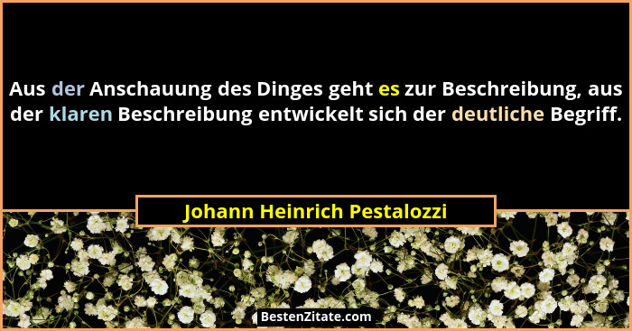 Aus der Anschauung des Dinges geht es zur Beschreibung, aus der klaren Beschreibung entwickelt sich der deutliche Begriff... - Johann Heinrich Pestalozzi