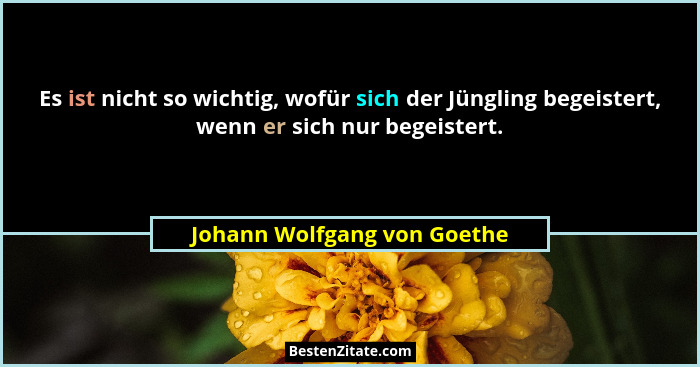 Es ist nicht so wichtig, wofür sich der Jüngling begeistert, wenn er sich nur begeistert.... - Johann Wolfgang von Goethe