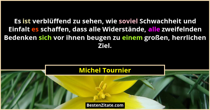 Es ist verblüffend zu sehen, wie soviel Schwachheit und Einfalt es schaffen, dass alle Widerstände, alle zweifelnden Bedenken sich v... - Michel Tournier