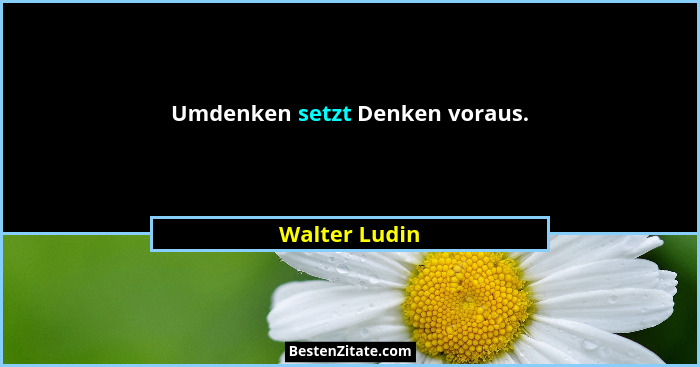 Umdenken setzt Denken voraus.... - Walter Ludin