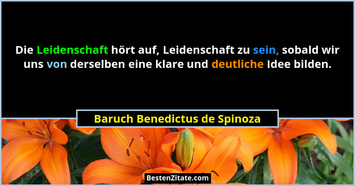 Die Leidenschaft hört auf, Leidenschaft zu sein, sobald wir uns von derselben eine klare und deutliche Idee bilden.... - Baruch Benedictus de Spinoza