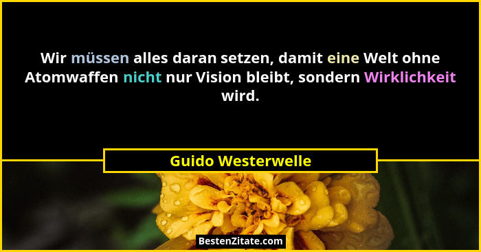 Wir müssen alles daran setzen, damit eine Welt ohne Atomwaffen nicht nur Vision bleibt, sondern Wirklichkeit wird.... - Guido Westerwelle