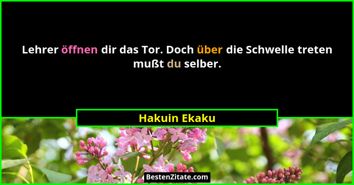 Lehrer öffnen dir das Tor. Doch über die Schwelle treten mußt du selber.... - Hakuin Ekaku