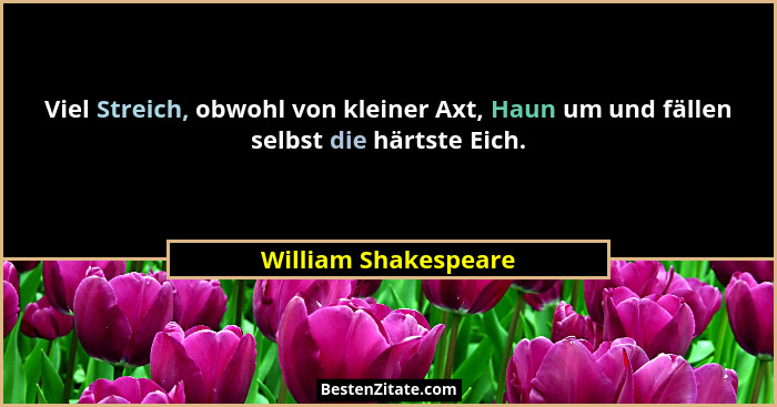 Viel Streich, obwohl von kleiner Axt, Haun um und fällen selbst die härtste Eich.... - William Shakespeare