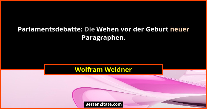 Parlamentsdebatte: Die Wehen vor der Geburt neuer Paragraphen.... - Wolfram Weidner