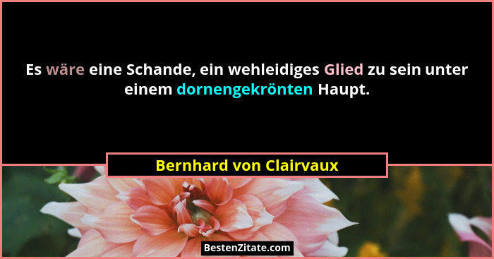 Es wäre eine Schande, ein wehleidiges Glied zu sein unter einem dornengekrönten Haupt.... - Bernhard von Clairvaux