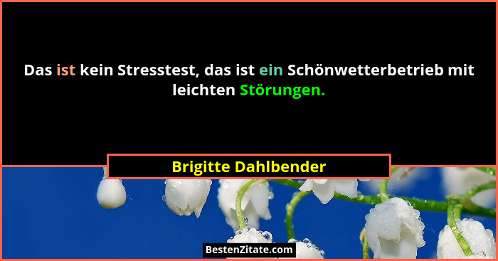 Das ist kein Stresstest, das ist ein Schönwetterbetrieb mit leichten Störungen.... - Brigitte Dahlbender