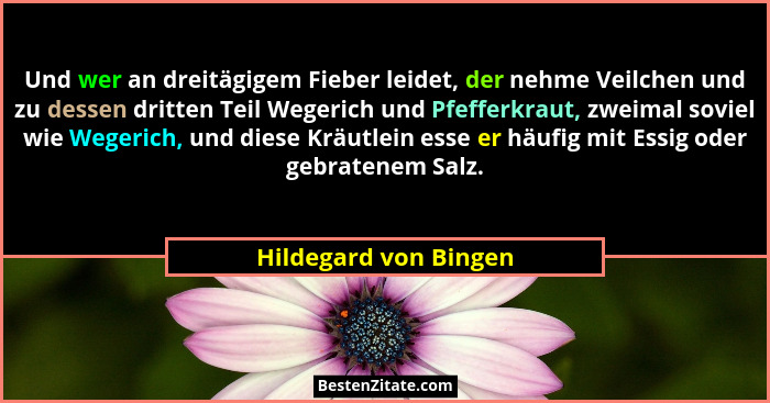 Und wer an dreitägigem Fieber leidet, der nehme Veilchen und zu dessen dritten Teil Wegerich und Pfefferkraut, zweimal soviel w... - Hildegard von Bingen