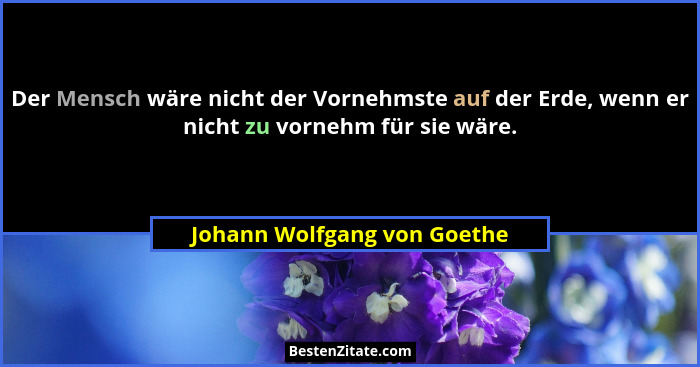 Der Mensch wäre nicht der Vornehmste auf der Erde, wenn er nicht zu vornehm für sie wäre.... - Johann Wolfgang von Goethe