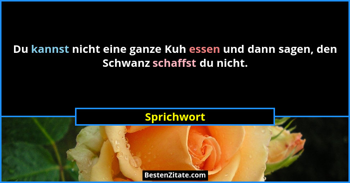 Du kannst nicht eine ganze Kuh essen und dann sagen, den Schwanz schaffst du nicht.... - Sprichwort