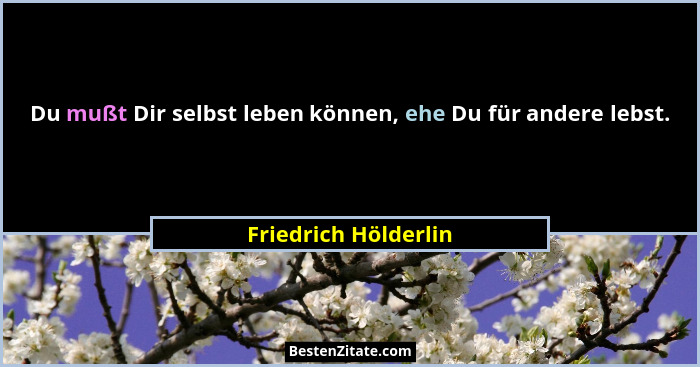 Du mußt Dir selbst leben können, ehe Du für andere lebst.... - Friedrich Hölderlin