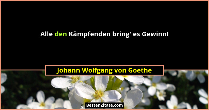 Alle den Kämpfenden bring' es Gewinn!... - Johann Wolfgang von Goethe
