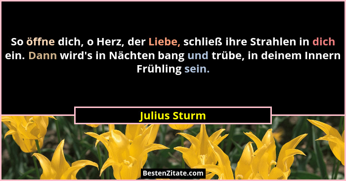 So öffne dich, o Herz, der Liebe, schließ ihre Strahlen in dich ein. Dann wird's in Nächten bang und trübe, in deinem Innern Frühli... - Julius Sturm