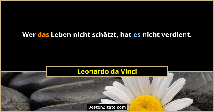 Wer das Leben nicht schätzt, hat es nicht verdient.... - Leonardo da Vinci