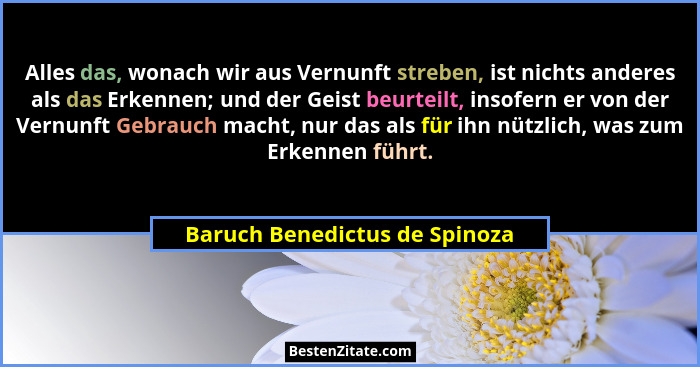 Alles das, wonach wir aus Vernunft streben, ist nichts anderes als das Erkennen; und der Geist beurteilt, insofern er v... - Baruch Benedictus de Spinoza