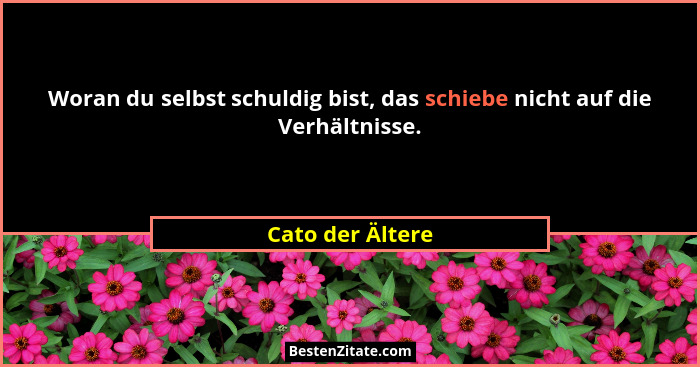 Woran du selbst schuldig bist, das schiebe nicht auf die Verhältnisse.... - Cato der Ältere