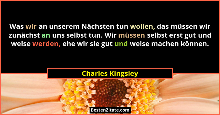 Was wir an unserem Nächsten tun wollen, das müssen wir zunächst an uns selbst tun. Wir müssen selbst erst gut und weise werden, ehe... - Charles Kingsley